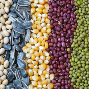 ഓട്ടോമാറ്റിക് വിത്തുകൾ പാക്കേജിംഗ് മെഷീൻ