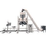 ZL25-KL ഇരട്ട ബക്കറ്റ് ബെൽറ്റ് കൺവെയർ വെയിംഗ് മെഷീൻ